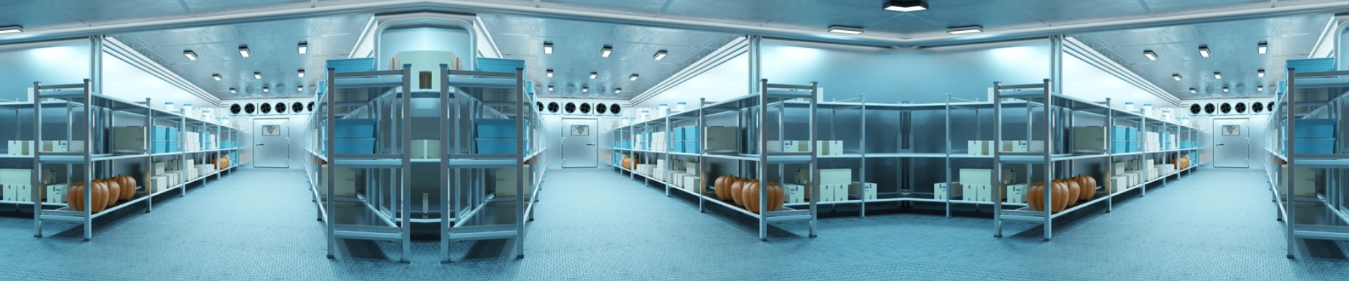 Remote Cold Room Freezer 4.5 m × 2.5 m × 2 m – Full Installation